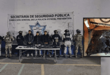 Robo a transporte de carga: detención en Esperanza exhibe el “modus” de patrullas falsas y la presión social en carreteras 2 Captura de pantalla 2026 01 28 a las 7.56.14 a.m