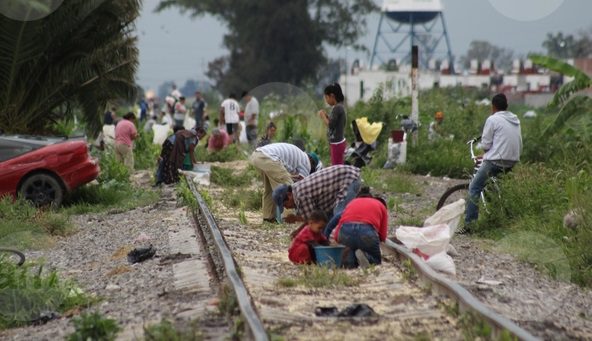 Disminuye robo a transporte ferroviario, pero aumenta vandalismo; granos y semillas, la carga más robada 5 hace ferromex limpia por robos b56ef57a7d4bf4cfa655b97df4b98c58