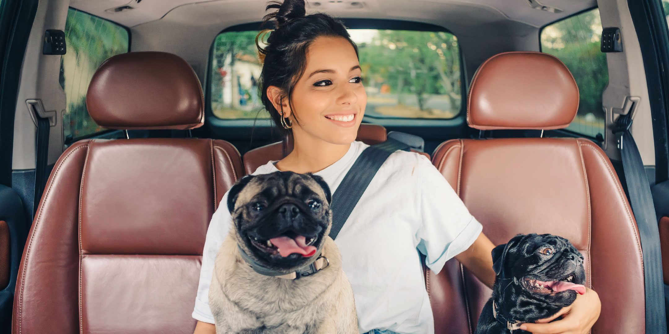 MX Cinco consejos para viajar con mascotas en Uber