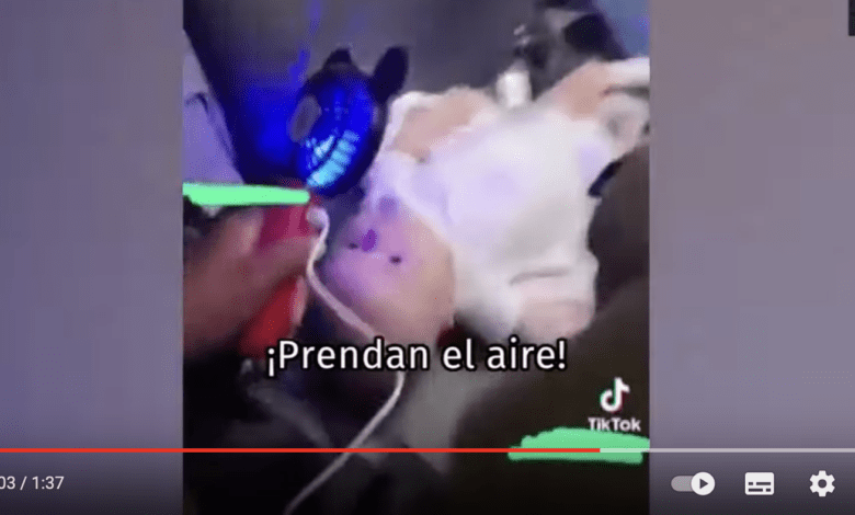 Otra de Volaris! Pasajeros atrapados sin aire acondicionado tienen que llamar a la Cruz Roja 1 Captura de pantalla 2023 08 02 a las 7.58.27