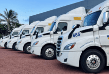 Transportes MAEDA, la empresa cuyo fundador quería ser veterinario 6 transportes maeda