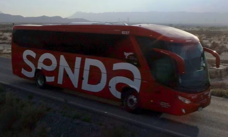 Rescatan a los 31 migrantes plagiados en autobús en Tamaulipas 1 Senda