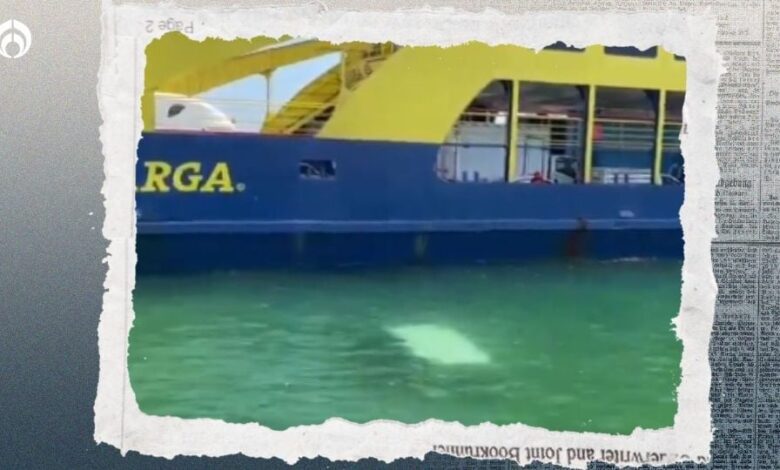 (Video) Camioneta de paquetería se sale de Ferry en Isla Mujeres, no le pusieron freno de mano 1 IMG 3567