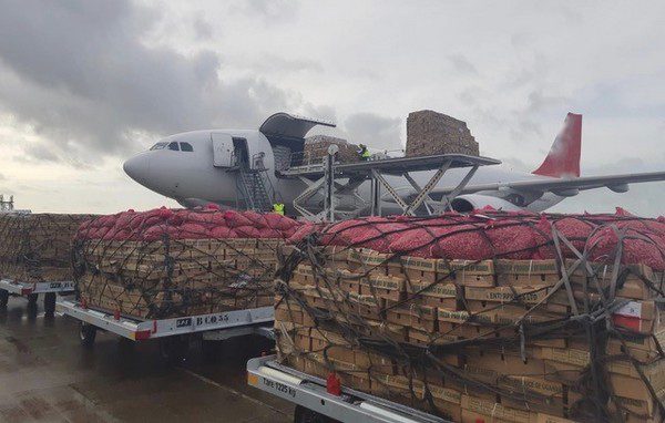 75% de las exportaciones aéreas son productos perecederos, como frutas, verduras y flores 1 verduras