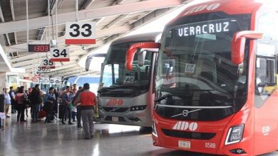 Descuentos de autobuses y trenes de pasajeros continuarán hasta el 3 de enero 25 IMG 4163