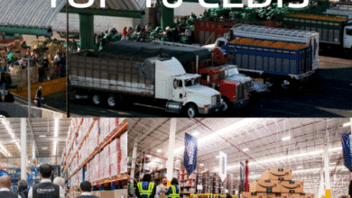 De la Central de Abastos en CDMX hasta Amazon, estos son los 10 CEDIS mas grandes de México 27 cedis