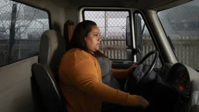 ¿Están retirando licencias a operadores de carga que no hablan inglés en EE. UU.? 18 licencias