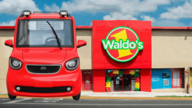 Voy al Waldos... ¿Alguien quiere un auto eléctrico? 4 waldos