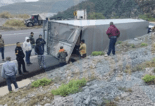 Vaya! Autoridades evitan la rapiña de fresas de un camión volteado en Tamaulipas 3 Captura de pantalla 2025 12 03 a las 10.18.18 a.m 1